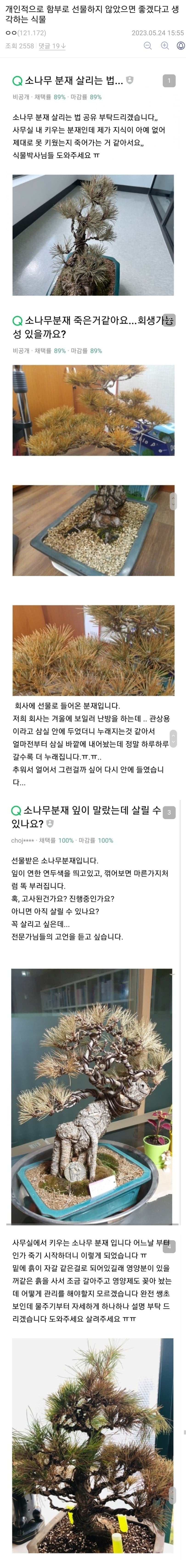 선물로 자주 주고받는데 키우기 쉽지 않은 식물 | 인스티즈