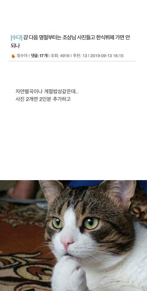 신박한 제사법 | 인스티즈