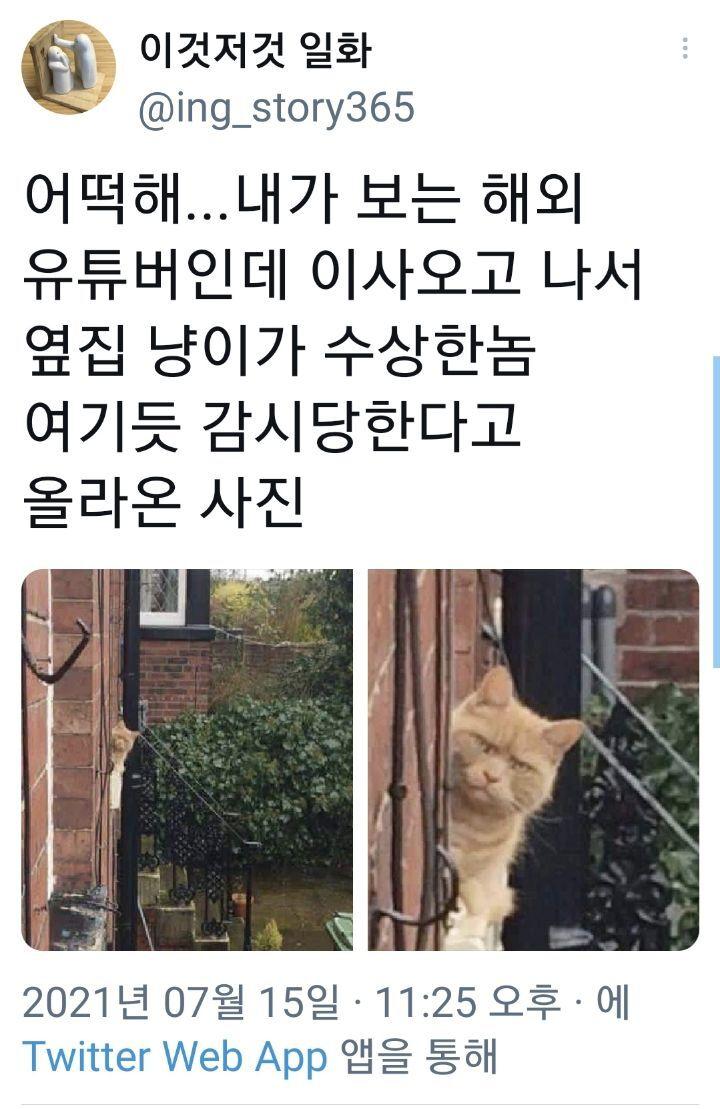 감시 당하는 유튜버 | 인스티즈