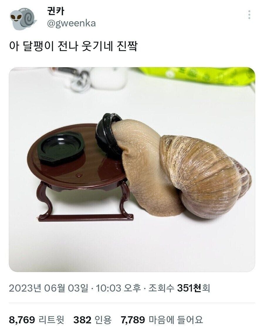 누가봐도 확실한 K-달팽이 | 인스티즈