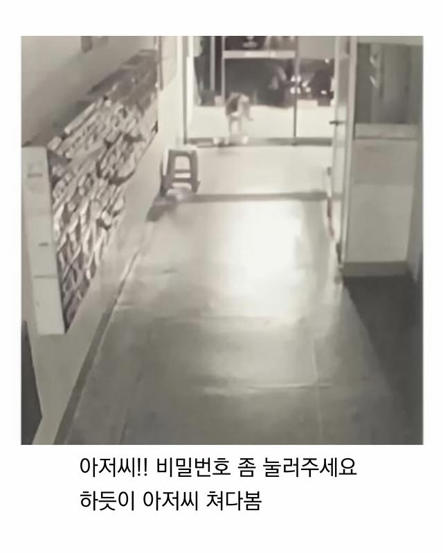 마트에서 반려견 잃어버림 | 인스티즈