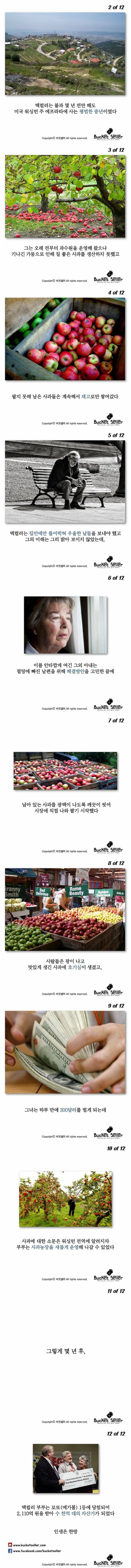 사과 과수원하다 대박 | 인스티즈