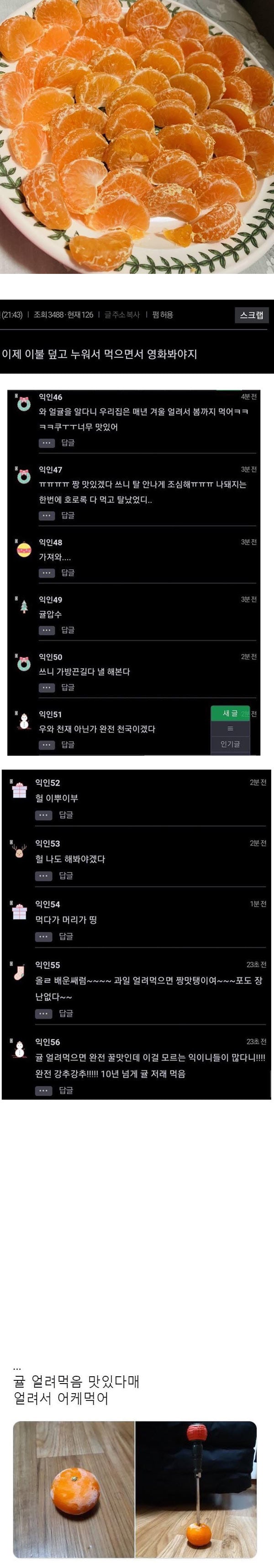 맛있는 얼귤 | 인스티즈