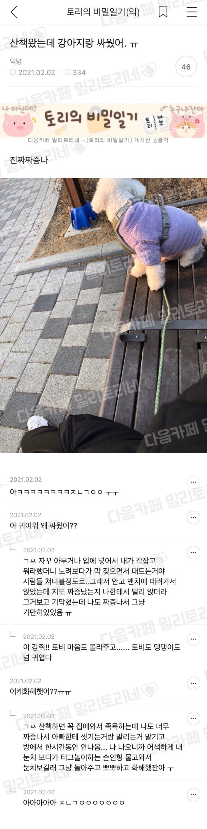 산책 나갔다 싸움 | 인스티즈
