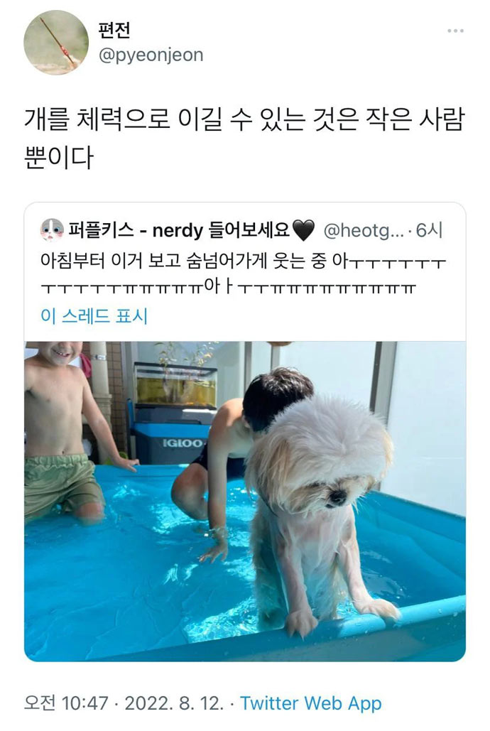 개를 체력적으로 이길 수 있는 사람 | 인스티즈