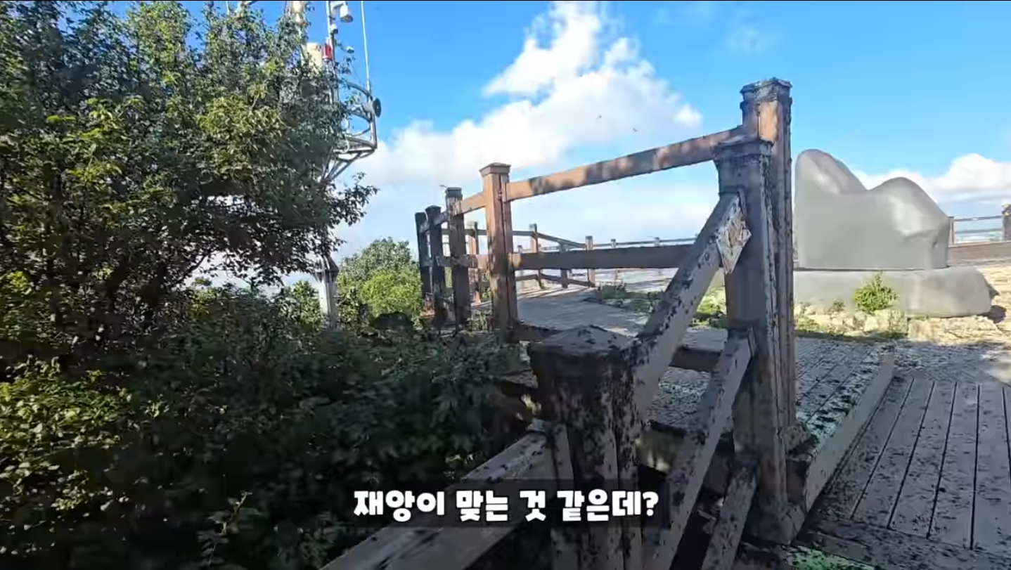 직접 가본 피셜 재앙수준이라는 인천 계양산 상황...jpg | 인스티즈