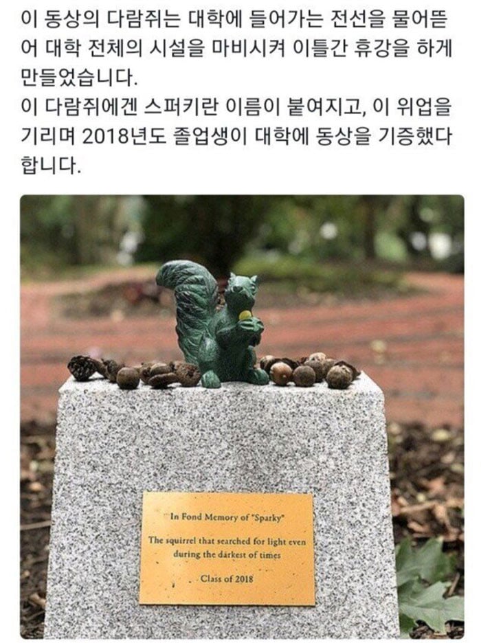 대학에 있는 다람쥐 동상 | 인스티즈