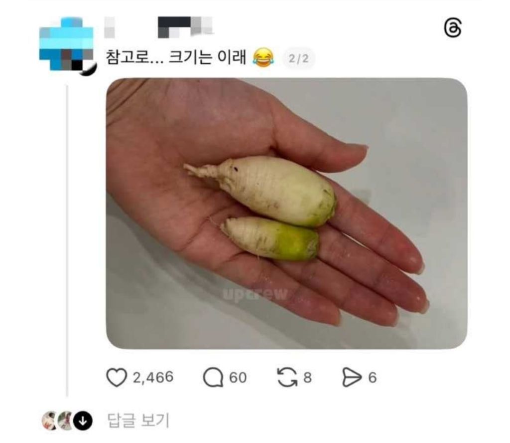 학교에서 키운 무라며 가지고 왔어 | 인스티즈