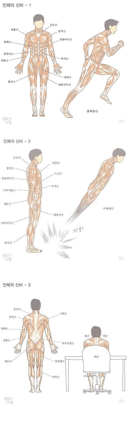 직장인 3대 근육 | 인스티즈