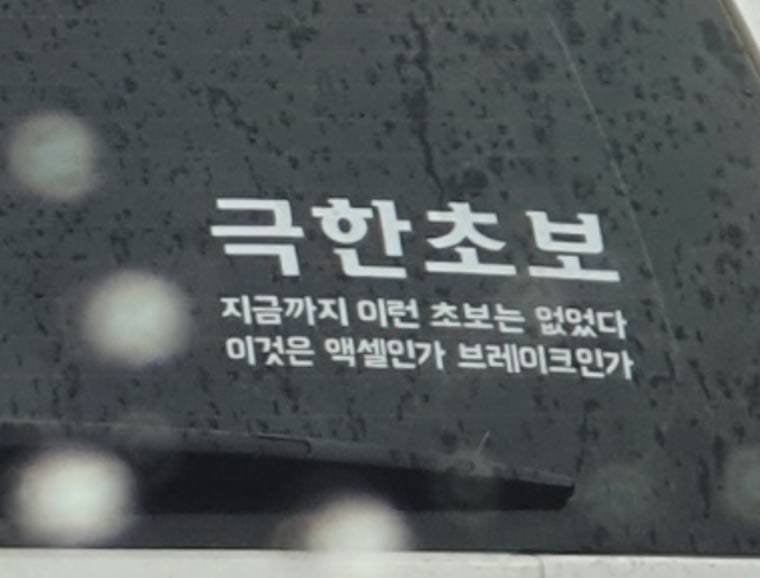 공포의 초보운전 문구 | 인스티즈