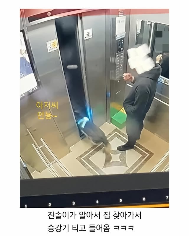 마트에서 반려견 잃어버림 | 인스티즈