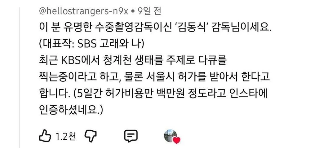 청계천 다큐 찍는 중이라는데 등짝에 촬영중이라고 적어놔야할듯ㅋㅋㅋㅋ | 인스티즈