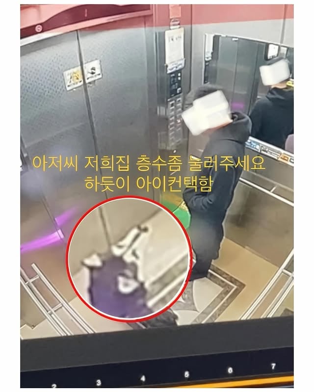 마트에서 반려견 잃어버림 | 인스티즈