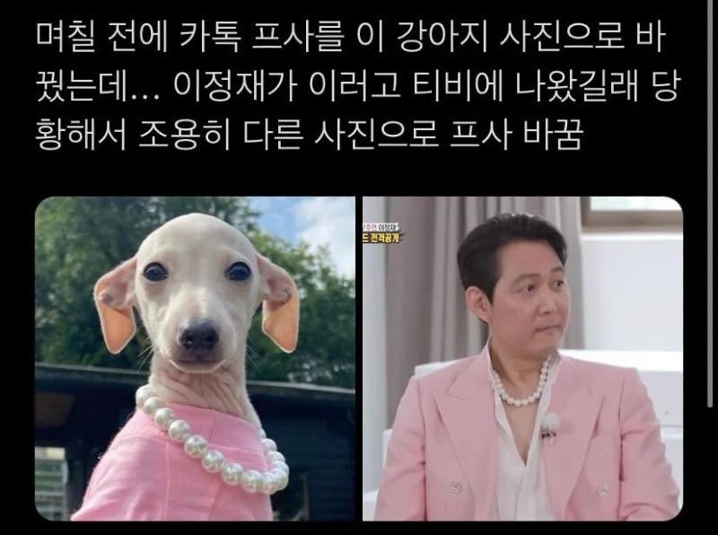 이정재가 울집 개랑 똑같이 입음 | 인스티즈