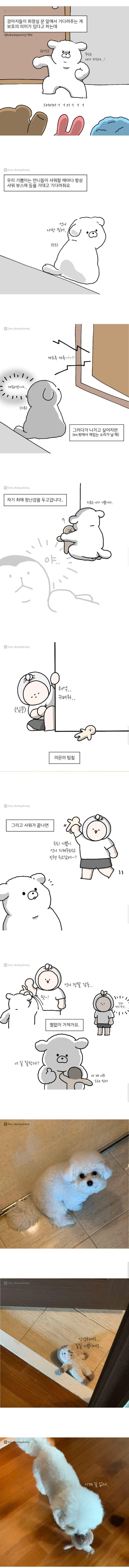 댕댕이가 주인 지키는 법 | 인스티즈