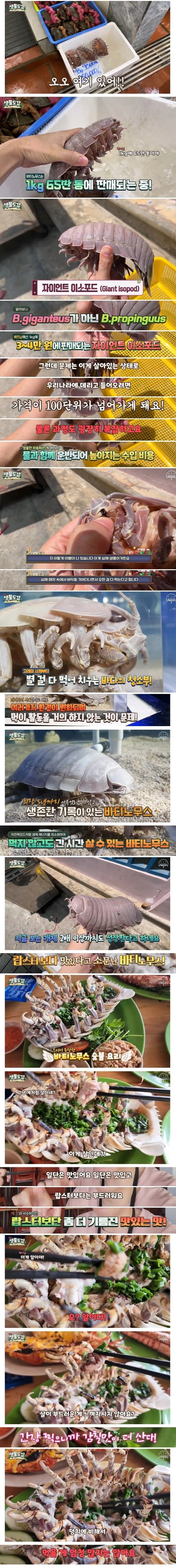 심해 공벌레 요리를 먹어본 유튜버 ㅎㅇㅈㅇ | 인스티즈