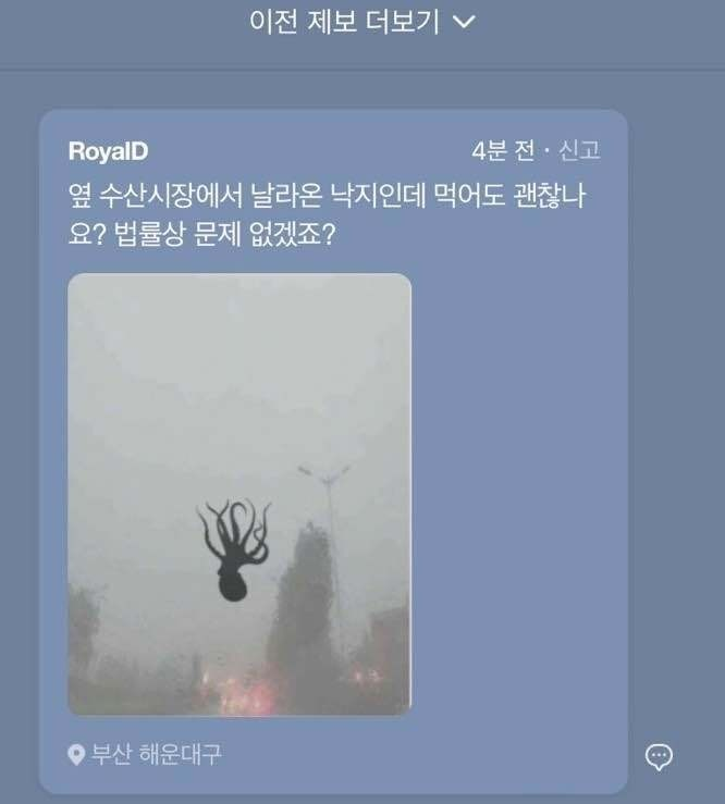 낙지 먹어도 되나요?? | 인스티즈