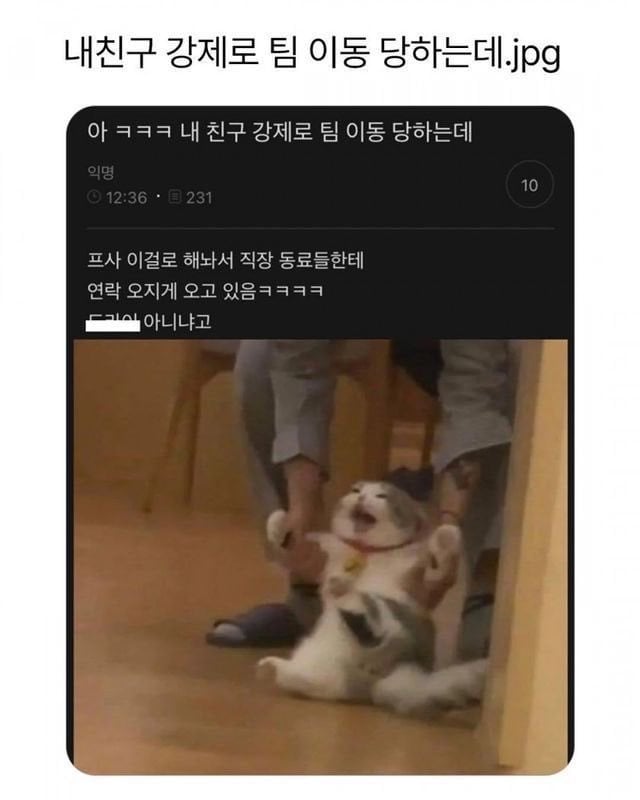 강제로 팀 이동당하는 사람 프사 | 인스티즈