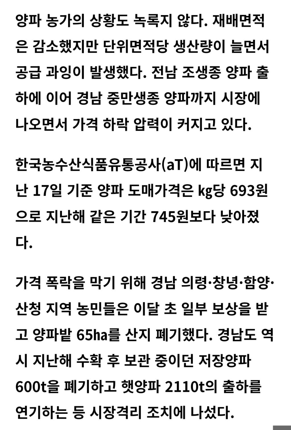 마늘은 녹고 양파는 갈아엎고… 경남 농가 덮친 '이상기후·공급과잉' 이중고 | 인스티즈