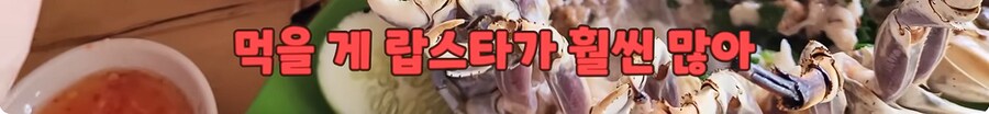 심해 공벌레 요리를 먹어본 유튜버 ㅎㅇㅈㅇ | 인스티즈