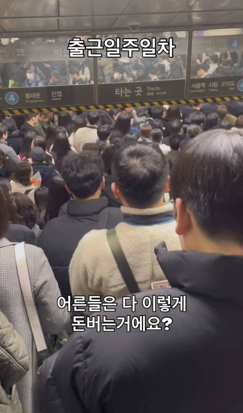 출근 일주일차 직장인 후기 | 인스티즈