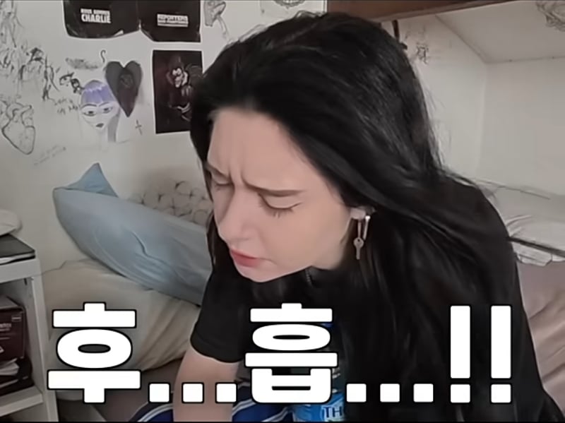 에어컨 없는 프랑스에 분노하는 프랑스인 | 인스티즈