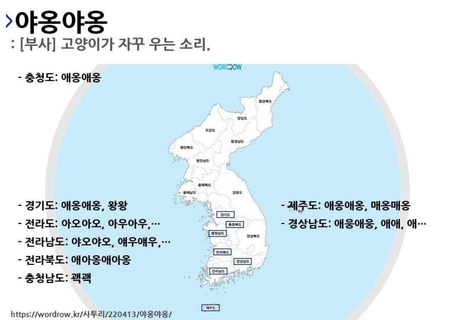 지역별 야옹야옹 | 인스티즈