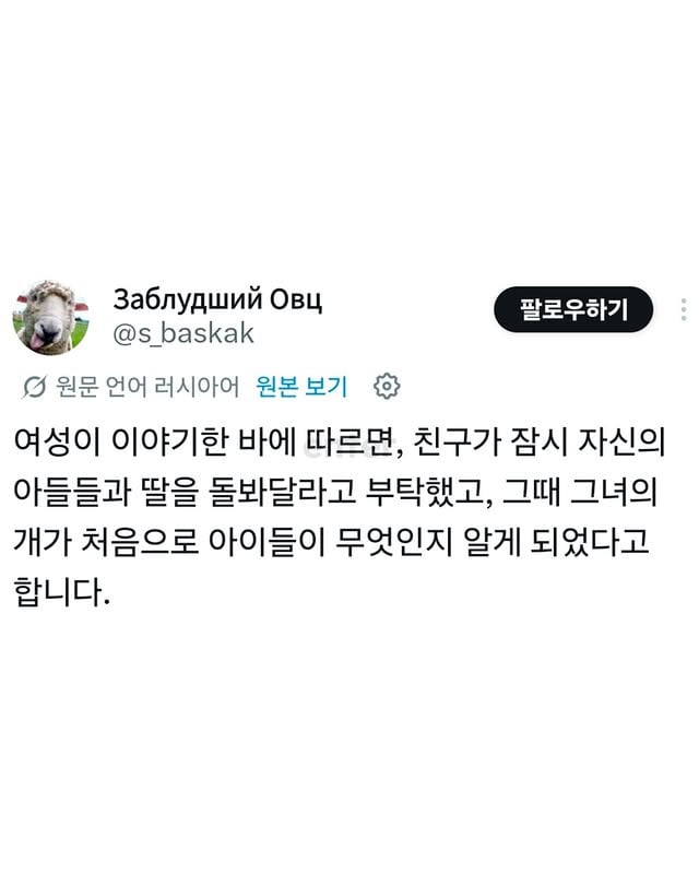 애들을 처음 만난 댕댕이 | 인스티즈