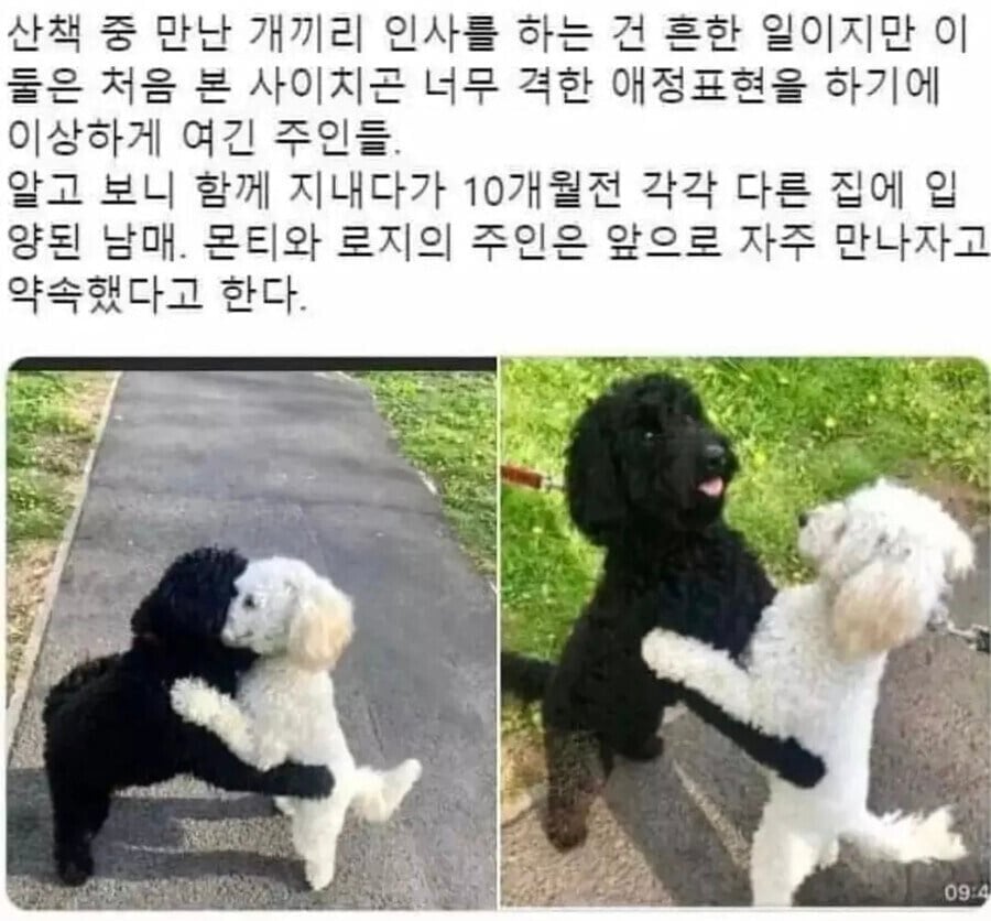 이산가족 상봉 | 인스티즈