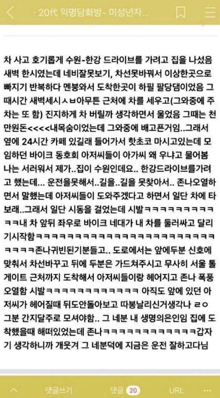 호기롭게 새벽 드라이브를 간 초보운전자의 최후 | 인스티즈