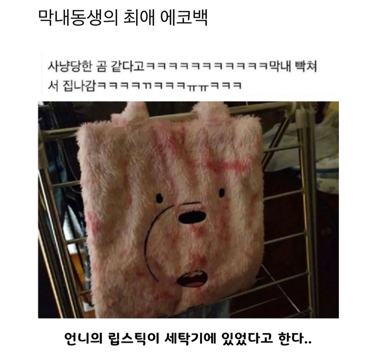 막내 동생의 최애 에코백 | 인스티즈