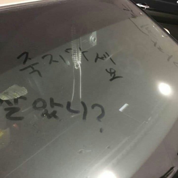 강원랜드에 주차된 차량들 | 인스티즈