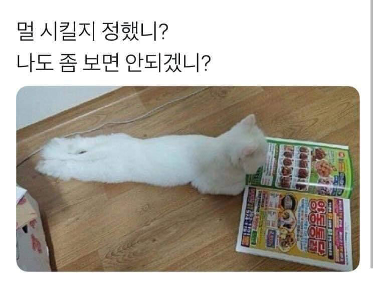 정했으면 넘겨 | 인스티즈