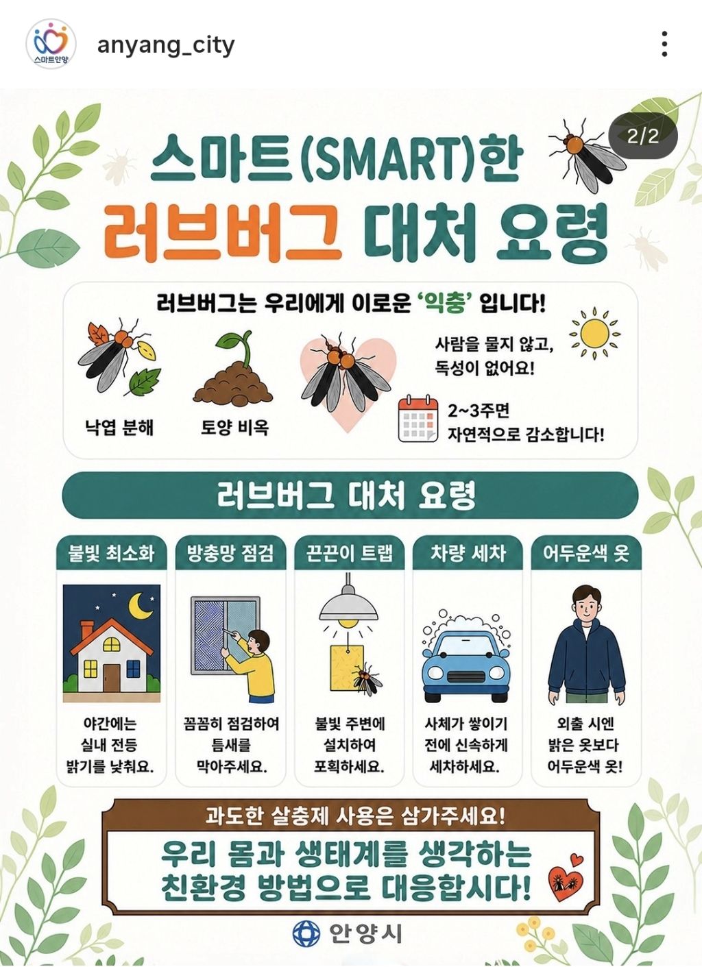 안양시 러브버그 대처방법 인스타 | 인스티즈