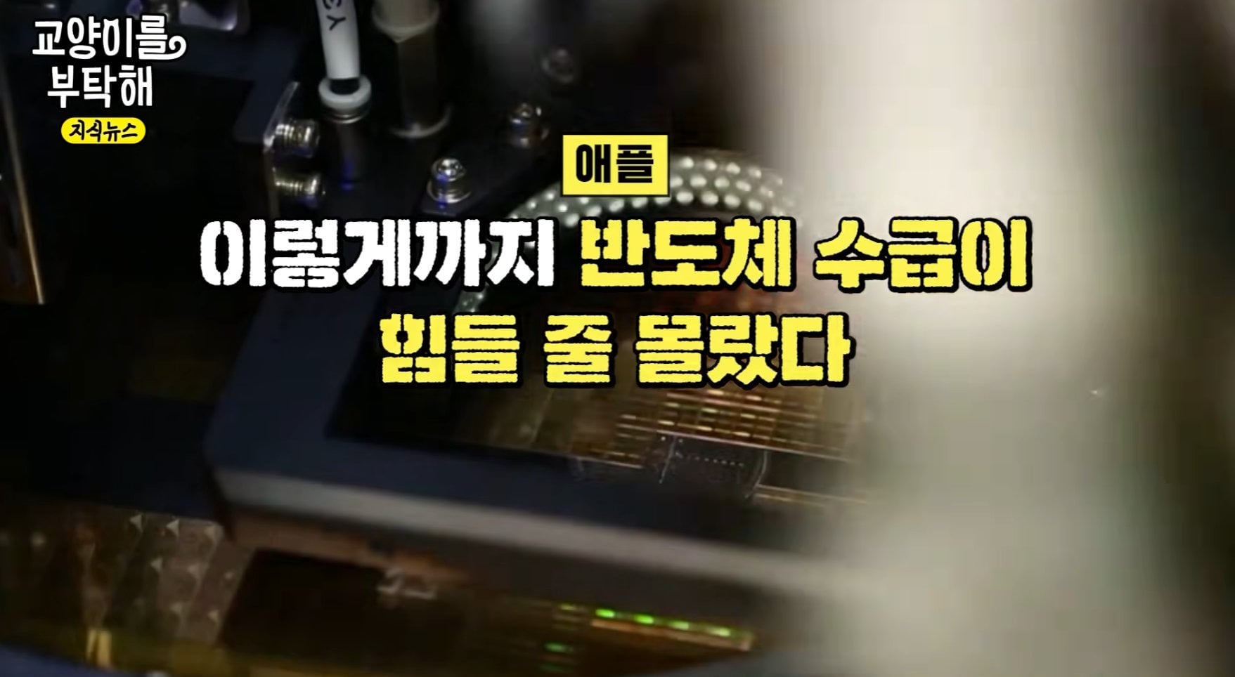 현장에서 직접 확인한 반도체 소부장 대란 현실 | 인스티즈