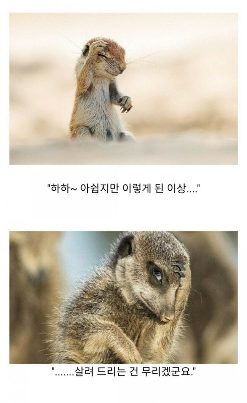 악역 실눈캐 | 인스티즈
