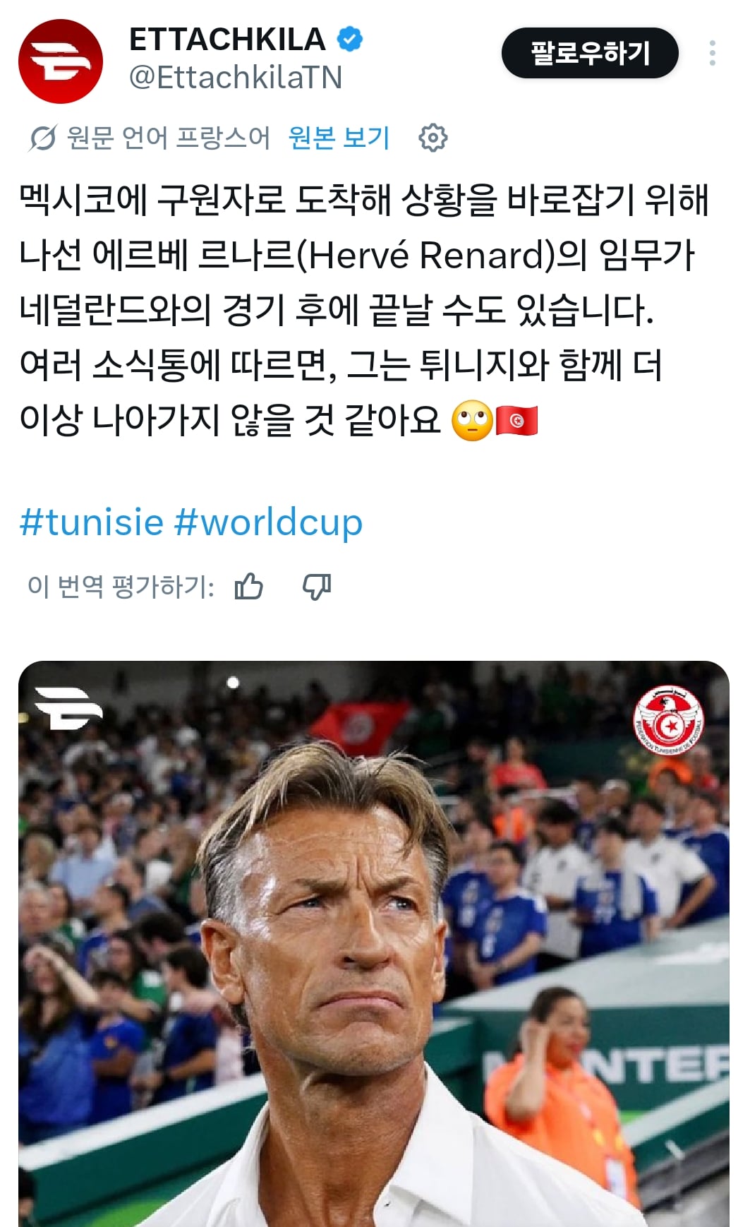 튀니지감독 2경기만에 경질 유력.jpg | 인스티즈