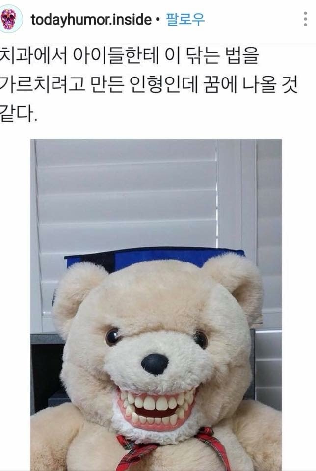 치과에서 만난 곰인형 | 인스티즈