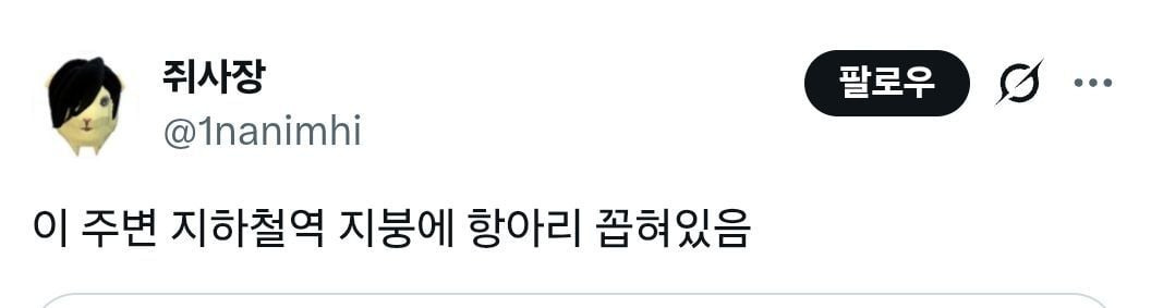 외지인을 반기는 대구 명물 모음 | 인스티즈