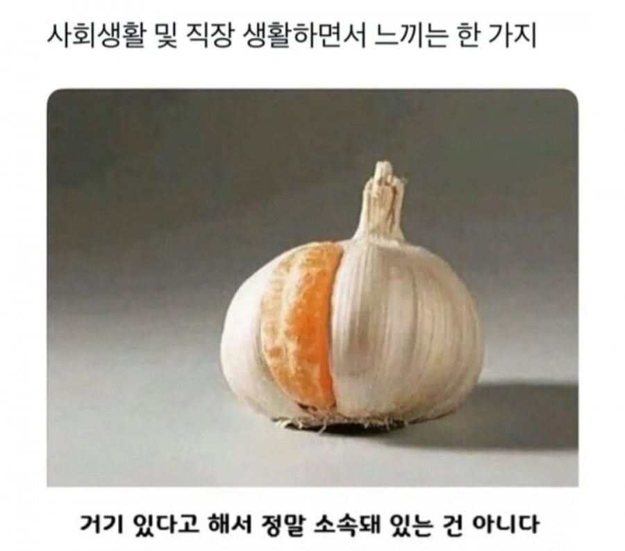 사회생활 하면서 느낀 거 | 인스티즈
