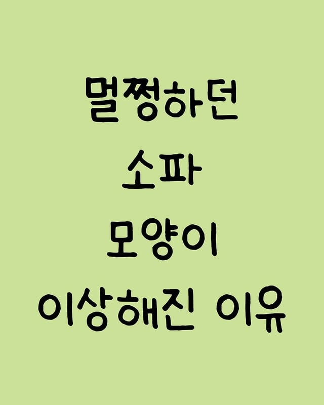 멀쩡하던 쇼파모양이 이상해진 이유 | 인스티즈