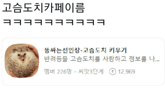 고슴도치 카페 이름 | 인스티즈