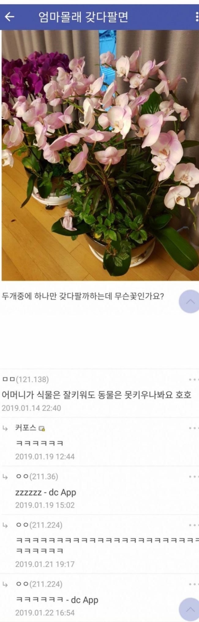 예의바른 패드립 | 인스티즈