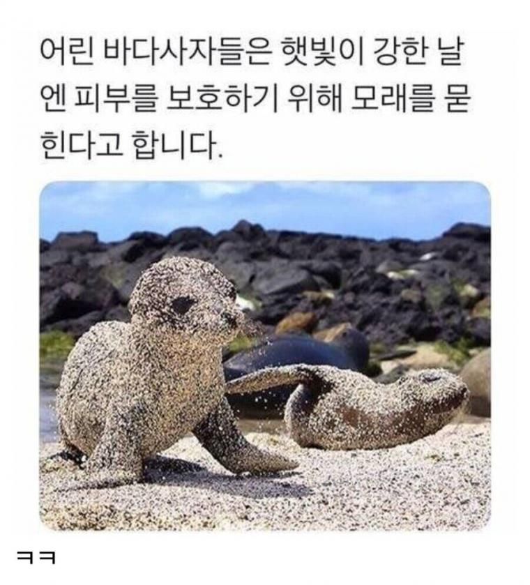바다인절미 | 인스티즈