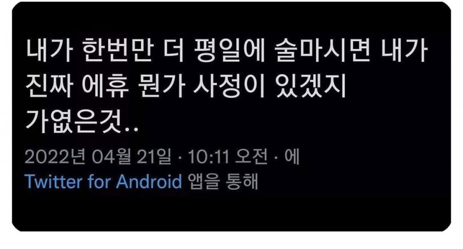 내가 한번만 더 평일에 술 마시면 | 인스티즈