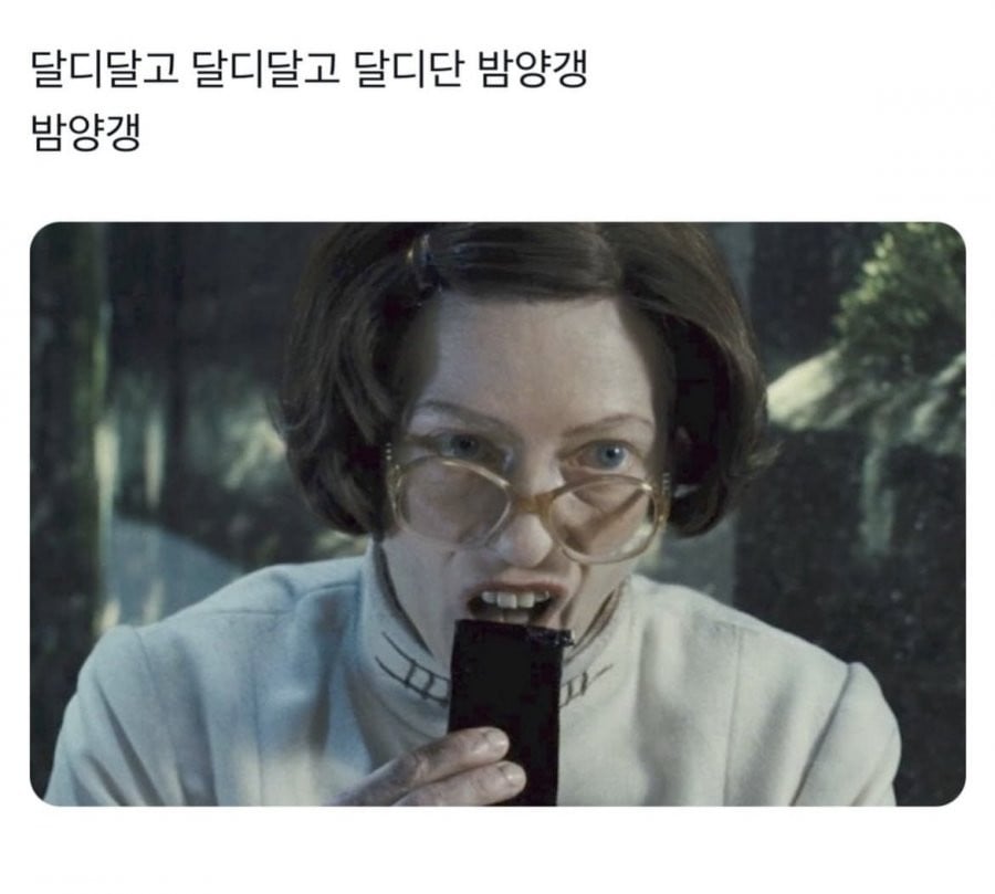달디단 밤양갱 | 인스티즈