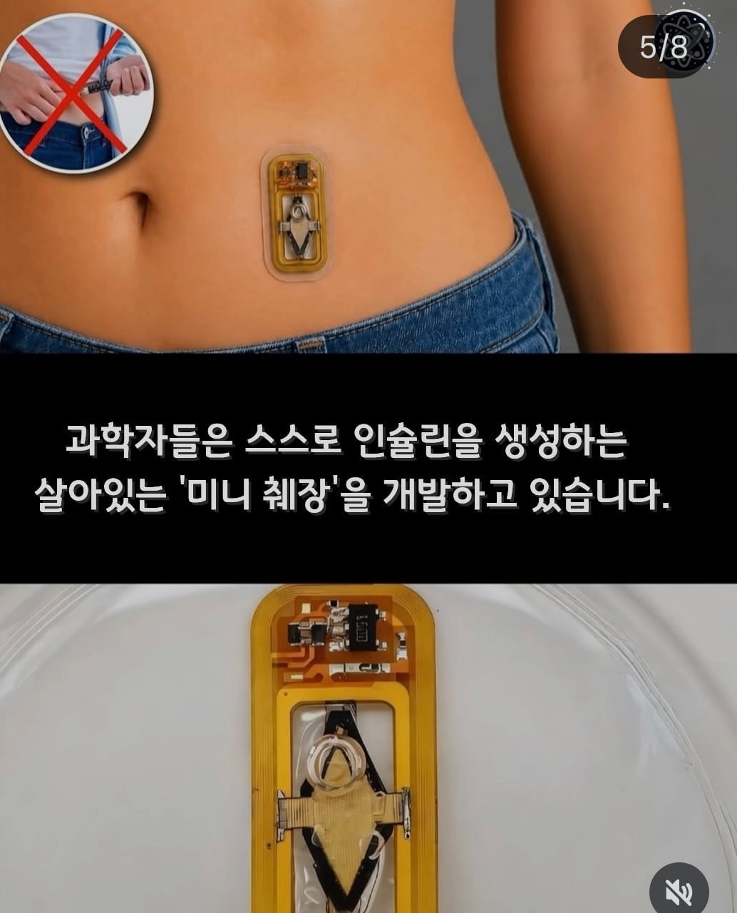 뉴스에는 안 나오는 세계의 희망적인 소식들 | 인스티즈