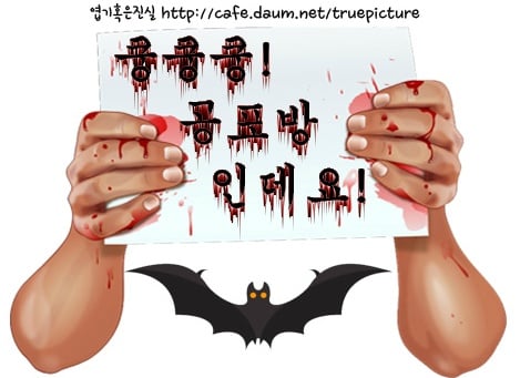 강원랜드에 주차된 차량들 | 인스티즈