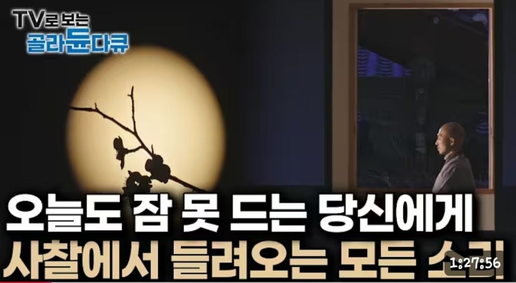 [수면 다큐] 사찰에서 들려오는 모든 소리(나레이션 포함) | 인스티즈