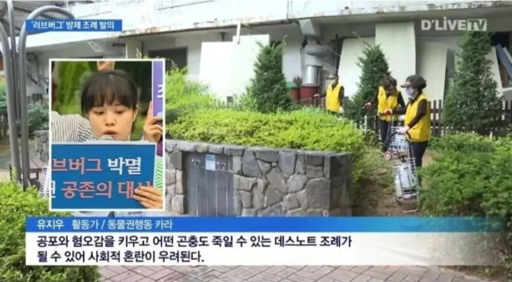 동물 보호단체 "러브버그는 박멸이 아닌 공존의 대상" | 인스티즈